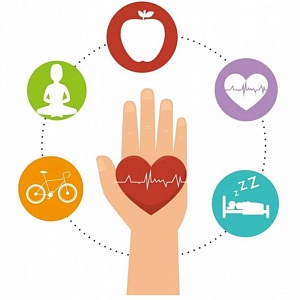 Положительное влияние ЗОЖ (Здорового образа жизни) на организм человека Положительное влияние ЗОЖ (Здорового образа жизни) на организм человека